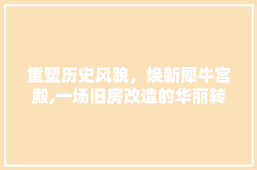 重塑历史风貌，焕新犀牛宫殿,一场旧房改造的华丽转身 厨房维修