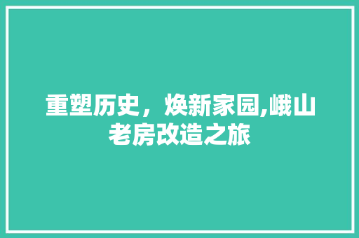 重塑历史，焕新家园,峨山老房改造之旅 家电维修