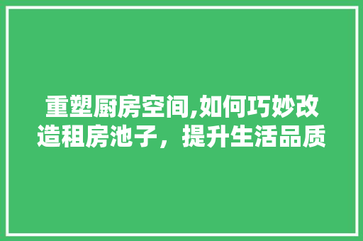 重塑厨房空间,如何巧妙改造租房池子，提升生活品质 家电维修