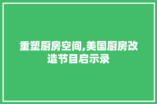 重塑厨房空间,美国厨房改造节目启示录 家电维修