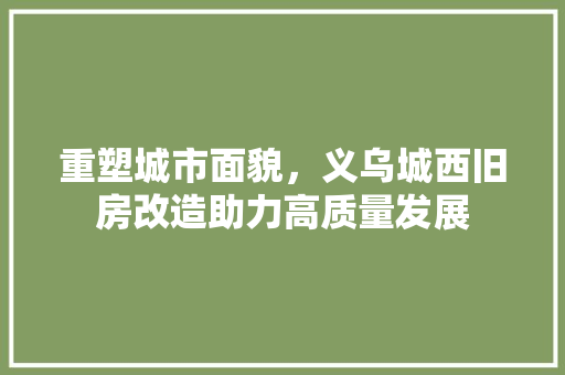 重塑城市面貌，义乌城西旧房改造助力高质量发展