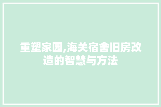 重塑家园,海关宿舍旧房改造的智慧与方法
