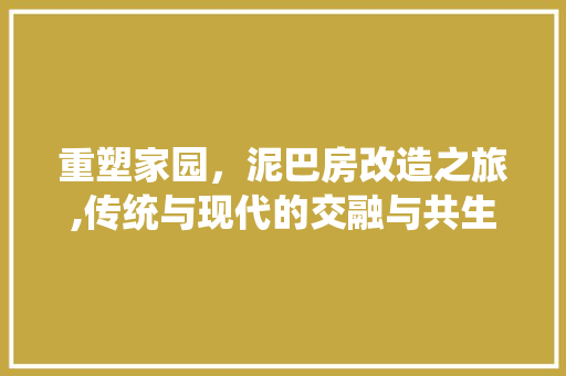 重塑家园，泥巴房改造之旅,传统与现代的交融与共生