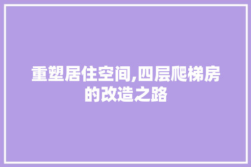 重塑居住空间,四层爬梯房的改造之路