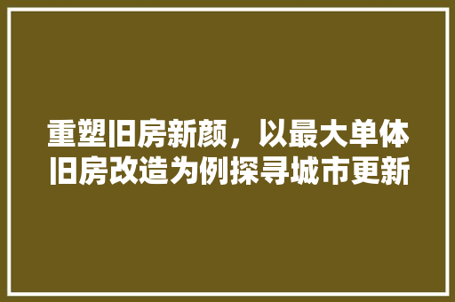 重塑旧房新颜，以最大单体旧房改造为例探寻城市更新之路