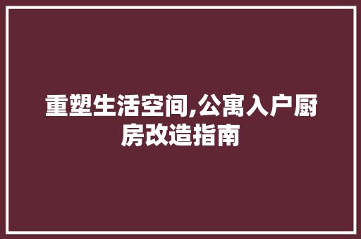 重塑生活空间,公寓入户厨房改造指南
