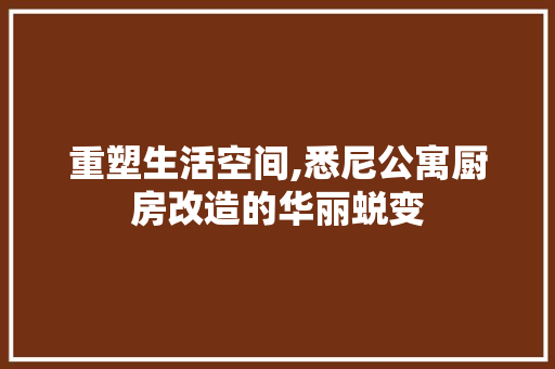 重塑生活空间,悉尼公寓厨房改造的华丽蜕变