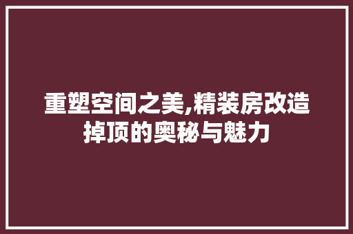 重塑空间之美,精装房改造掉顶的奥秘与魅力
