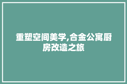 重塑空间美学,合金公寓厨房改造之旅