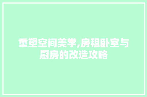 重塑空间美学,房租卧室与厨房的改造攻略