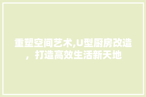 重塑空间艺术,U型厨房改造，打造高效生活新天地