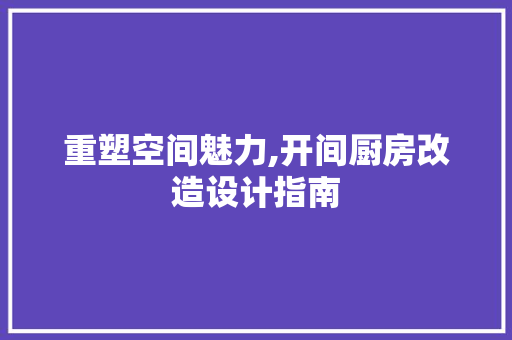 重塑空间魅力,开间厨房改造设计指南 居家维修