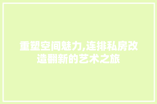 重塑空间魅力,连排私房改造翻新的艺术之旅 居家维修