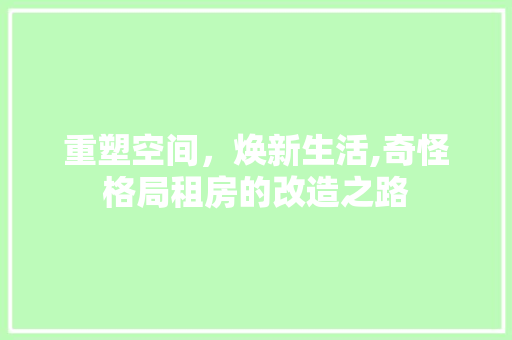 重塑空间，焕新生活,奇怪格局租房的改造之路