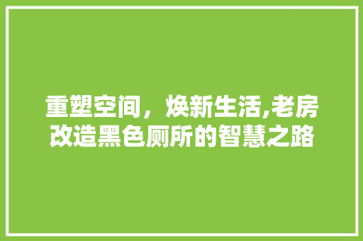 重塑空间，焕新生活,老房改造黑色厕所的智慧之路