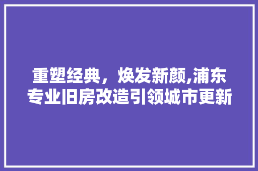 重塑经典，焕发新颜,浦东专业旧房改造引领城市更新潮流