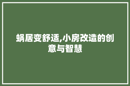 蜗居变舒适,小房改造的创意与智慧 家电维修