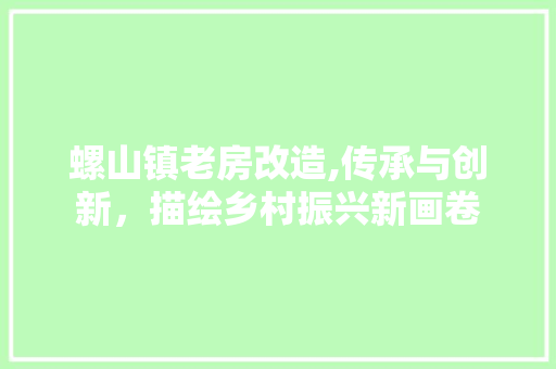 螺山镇老房改造,传承与创新，描绘乡村振兴新画卷