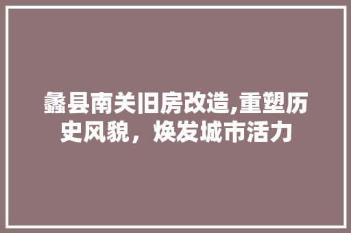 蠡县南关旧房改造,重塑历史风貌，焕发城市活力