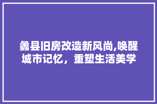 蠡县旧房改造新风尚,唤醒城市记忆，重塑生活美学