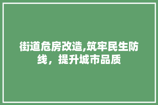 街道危房改造,筑牢民生防线，提升城市品质