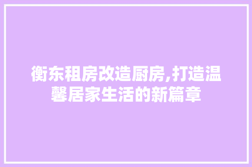 衡东租房改造厨房,打造温馨居家生活的新篇章