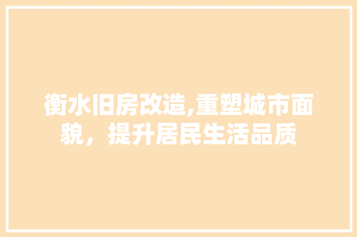 衡水旧房改造,重塑城市面貌，提升居民生活品质