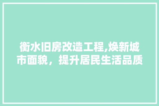 衡水旧房改造工程,焕新城市面貌，提升居民生活品质