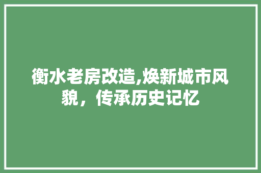 衡水老房改造,焕新城市风貌，传承历史记忆