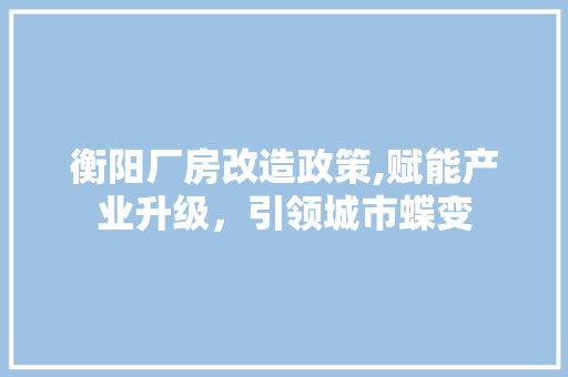衡阳厂房改造政策,赋能产业升级，引领城市蝶变