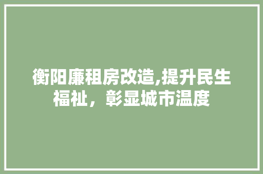 衡阳廉租房改造,提升民生福祉，彰显城市温度