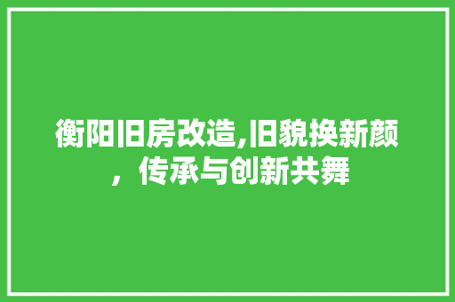 衡阳旧房改造,旧貌换新颜，传承与创新共舞