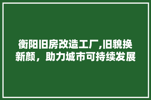衡阳旧房改造工厂,旧貌换新颜，助力城市可持续发展