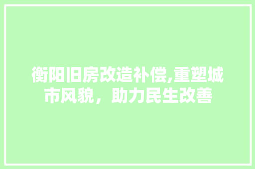 衡阳旧房改造补偿,重塑城市风貌，助力民生改善