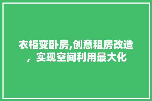 衣柜变卧房,创意租房改造，实现空间利用最大化