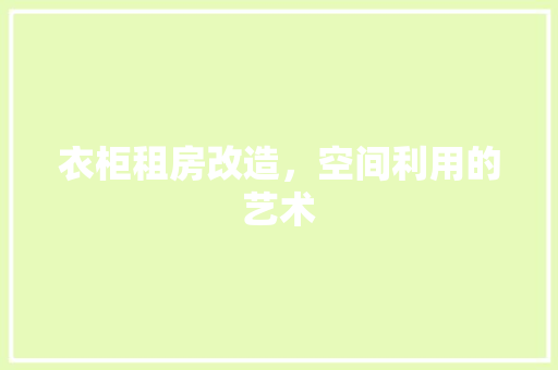 衣柜租房改造，空间利用的艺术