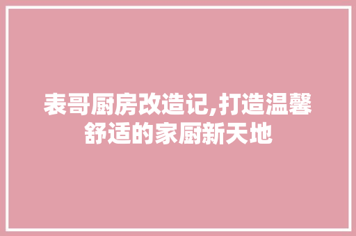 表哥厨房改造记,打造温馨舒适的家厨新天地