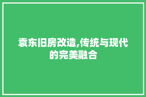 袁东旧房改造,传统与现代的完美融合