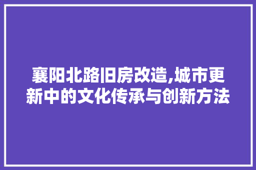 襄阳北路旧房改造,城市更新中的文化传承与创新方法
