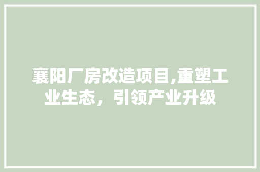 襄阳厂房改造项目,重塑工业生态，引领产业升级