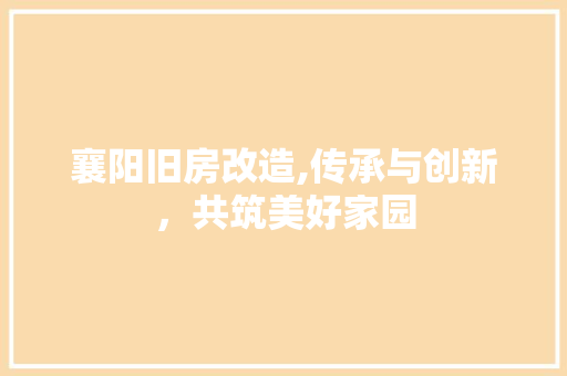 襄阳旧房改造,传承与创新，共筑美好家园