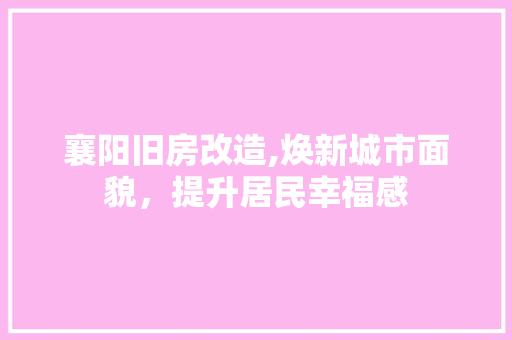 襄阳旧房改造,焕新城市面貌，提升居民幸福感