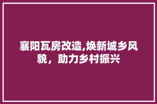襄阳瓦房改造,焕新城乡风貌，助力乡村振兴