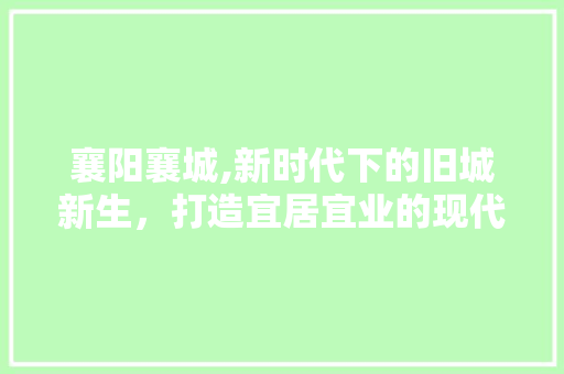 襄阳襄城,新时代下的旧城新生，打造宜居宜业的现代化城区
