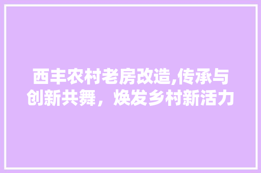 西丰农村老房改造,传承与创新共舞，焕发乡村新活力