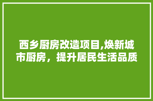 西乡厨房改造项目,焕新城市厨房，提升居民生活品质