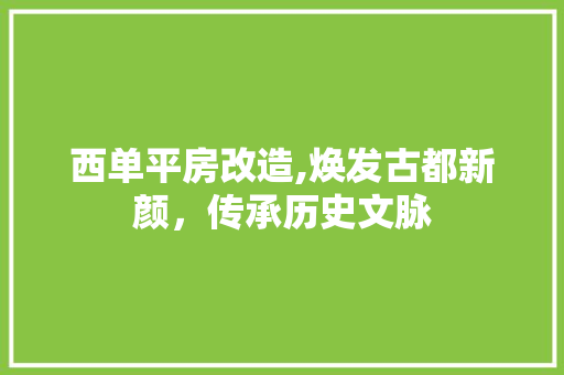 西单平房改造,焕发古都新颜，传承历史文脉