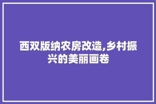 西双版纳农房改造,乡村振兴的美丽画卷