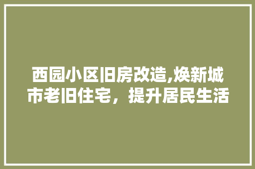 西园小区旧房改造,焕新城市老旧住宅，提升居民生活品质 户内维修
