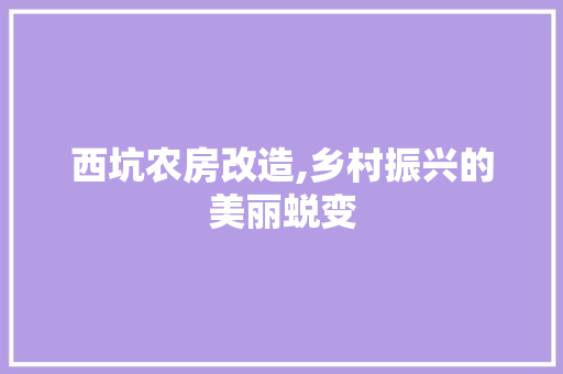 西坑农房改造,乡村振兴的美丽蜕变